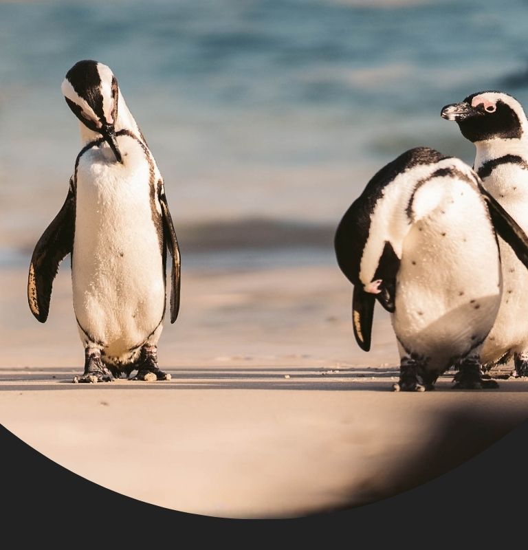 Employee benefits and group cover solutions from Trulogic Financial Services